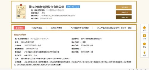 小鵬汽車深化產(chǎn)業(yè)布局 1億元設(shè)立新能源投資公司，分公司注冊同步啟動